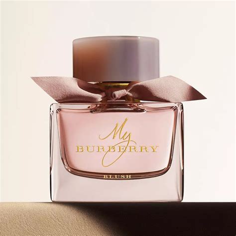 burberry parfum|best burberry perfume for women.